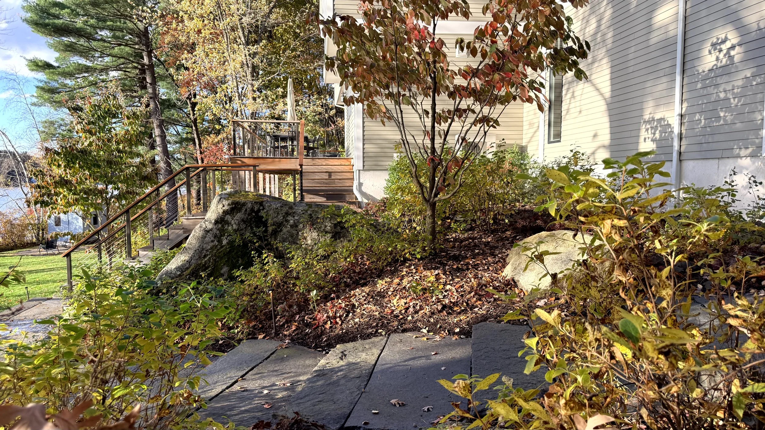 Rock outcrop surrounded by native planting