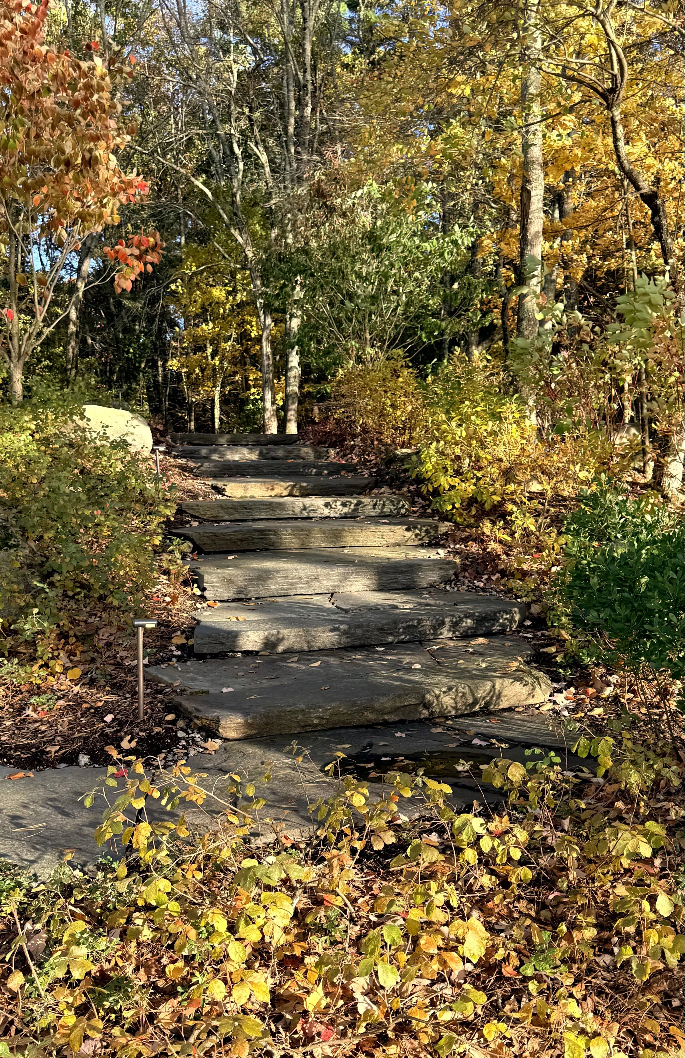 View of stone steps