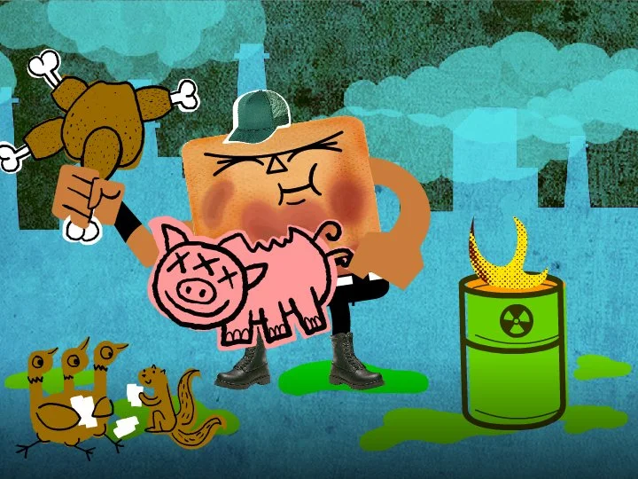 28.jpg