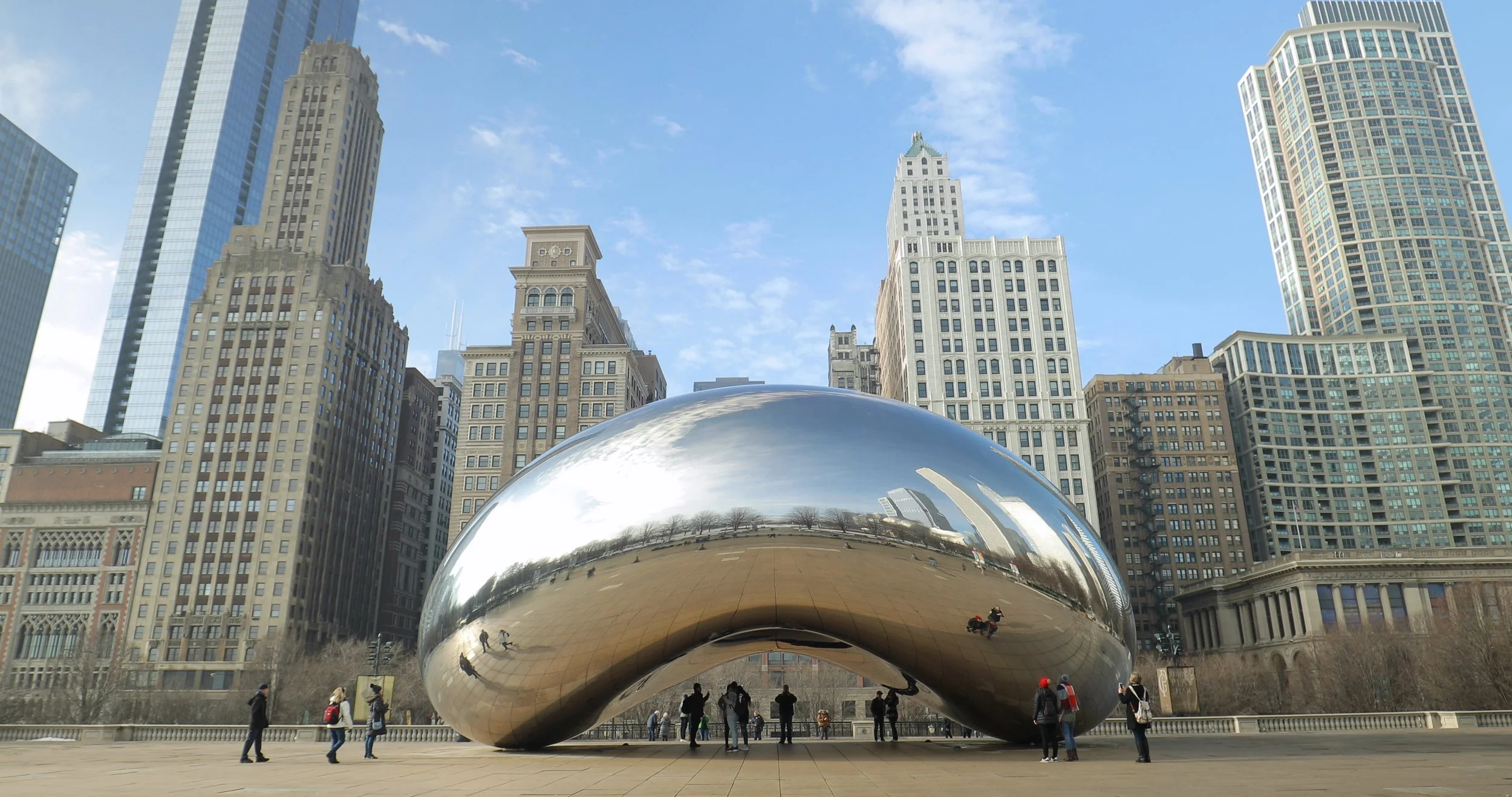01111842-4k-bean-footage-084584245_prevstill.jpeg