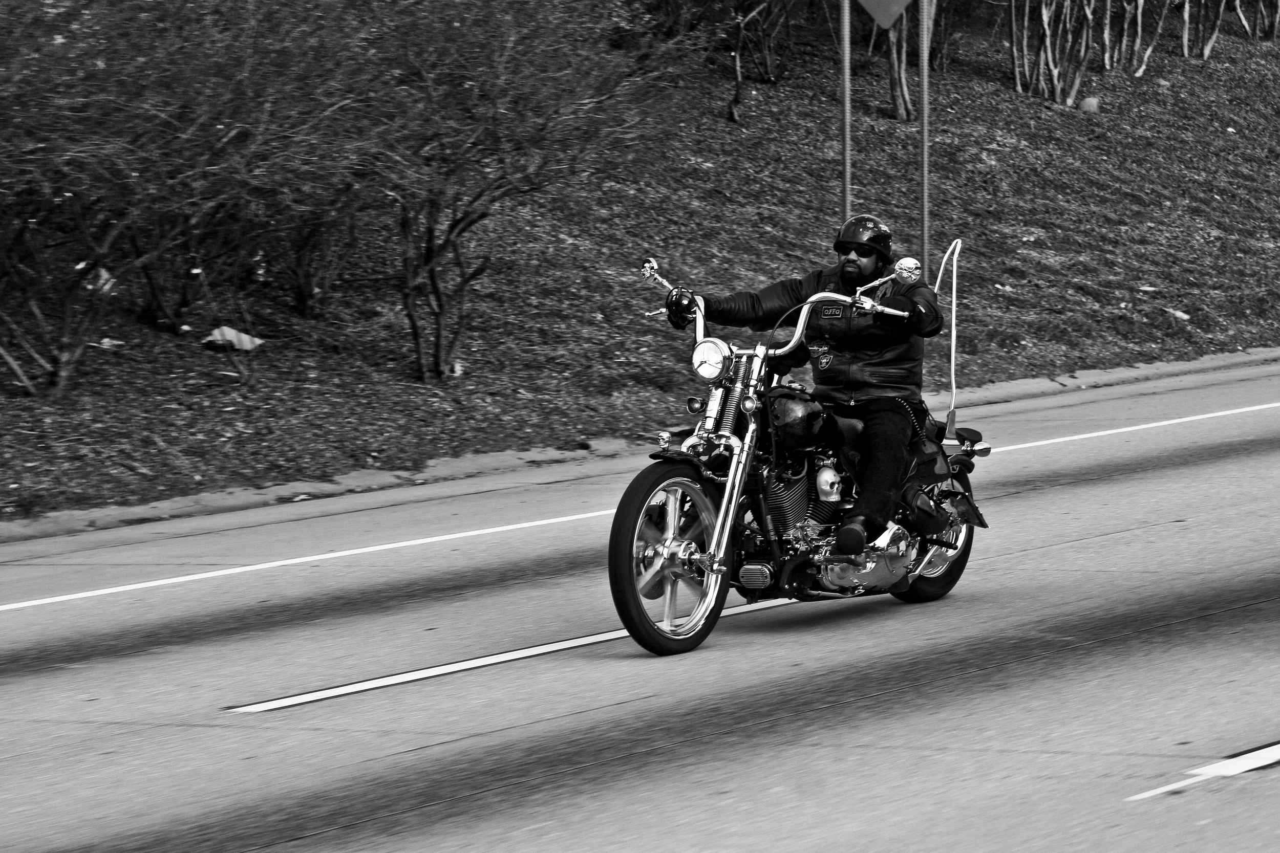 IMG_3296.jpg