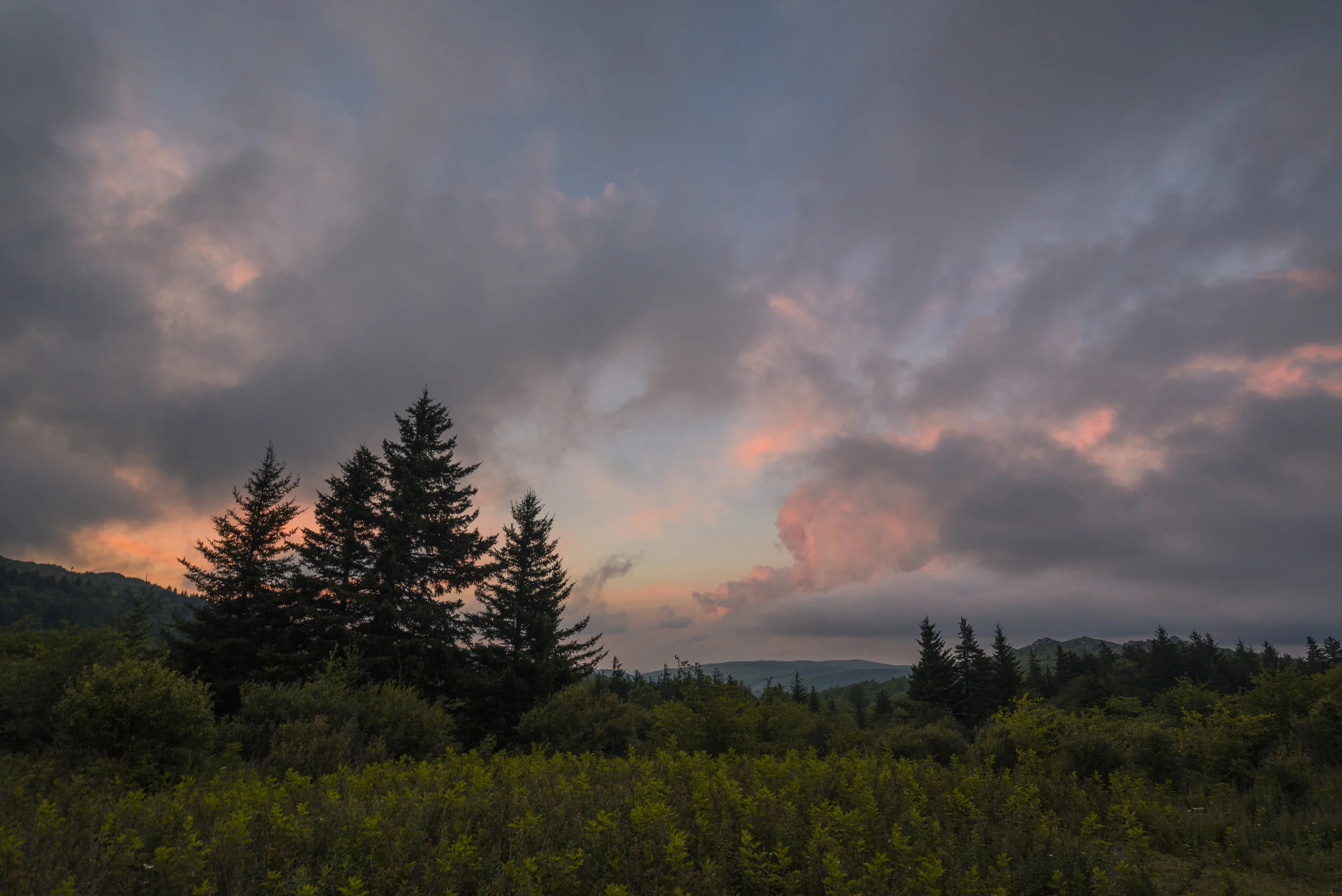 Sunset and Spruce Forest, Grayson Highlands, Virginia