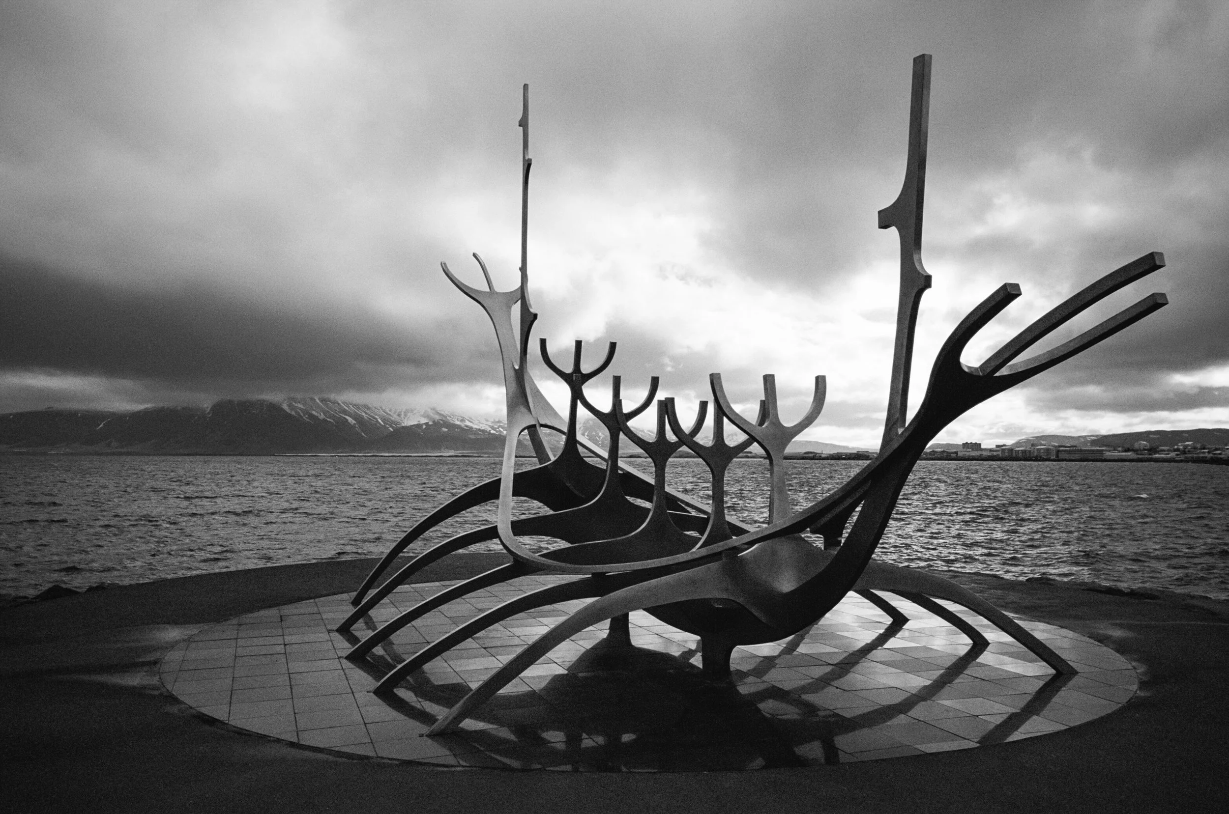 Sun Voyager(Black and White Film)