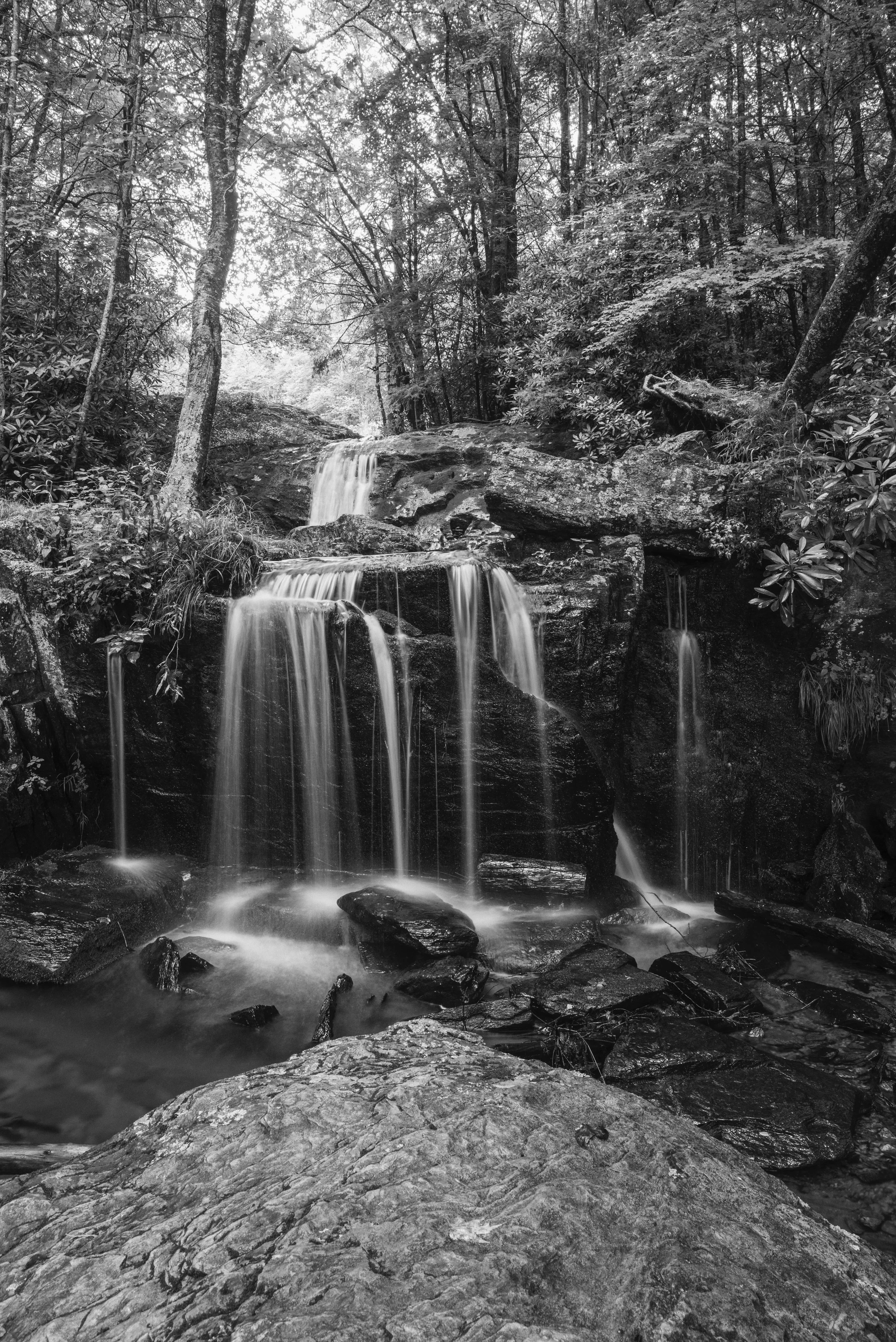 Newland Falls, Blue Ridge Mountains