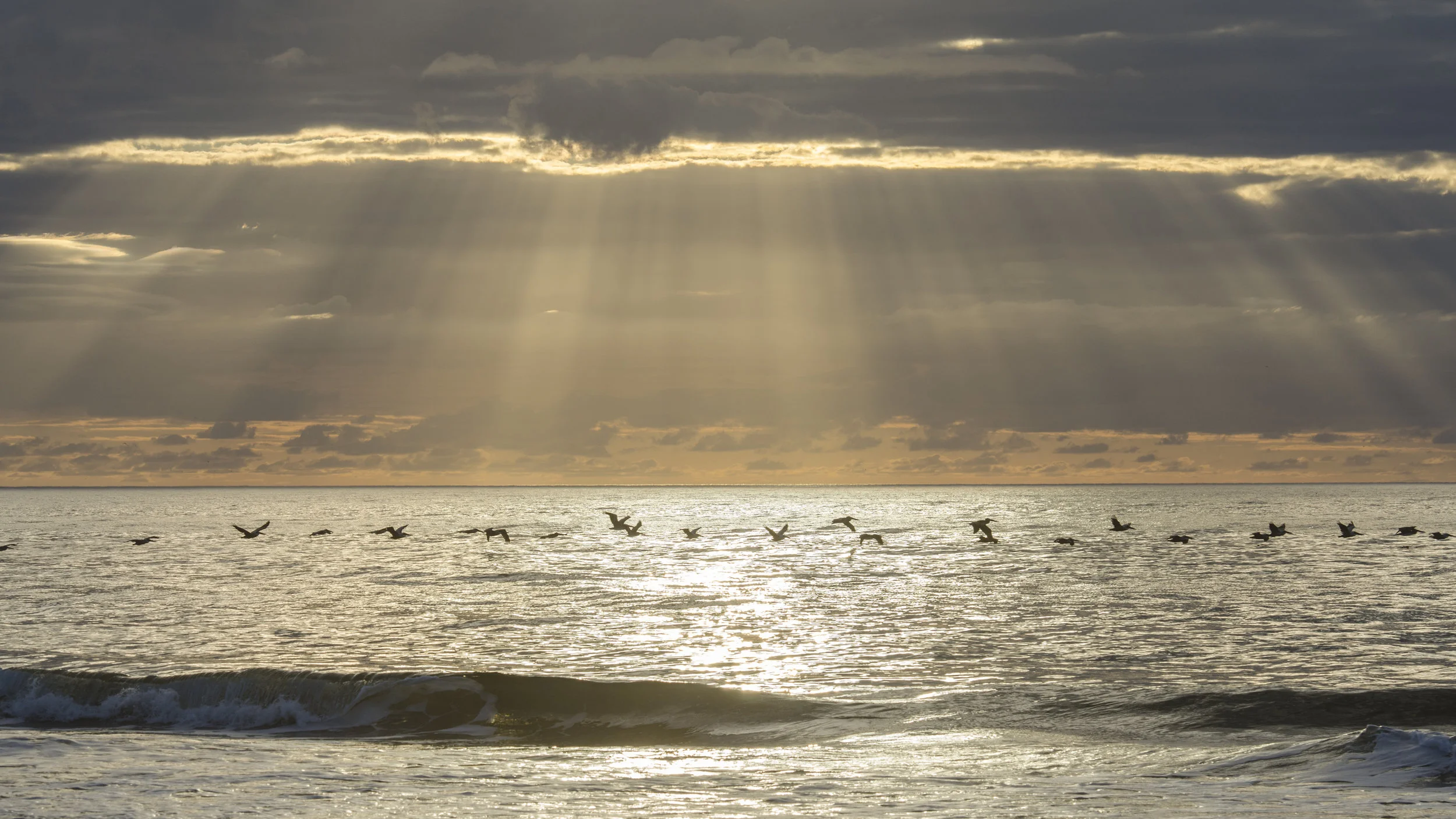 Pelicans and God Beams, Sunset Beach