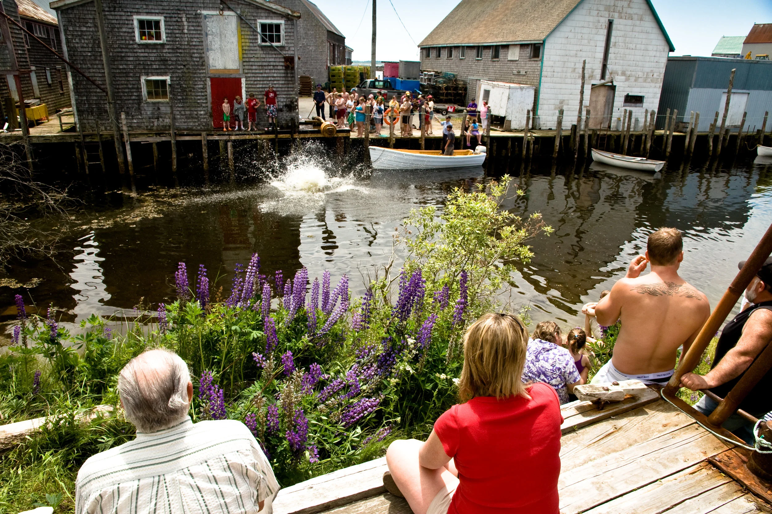 "Greasy-Pole" Contest, Canada Day, Seal Cove