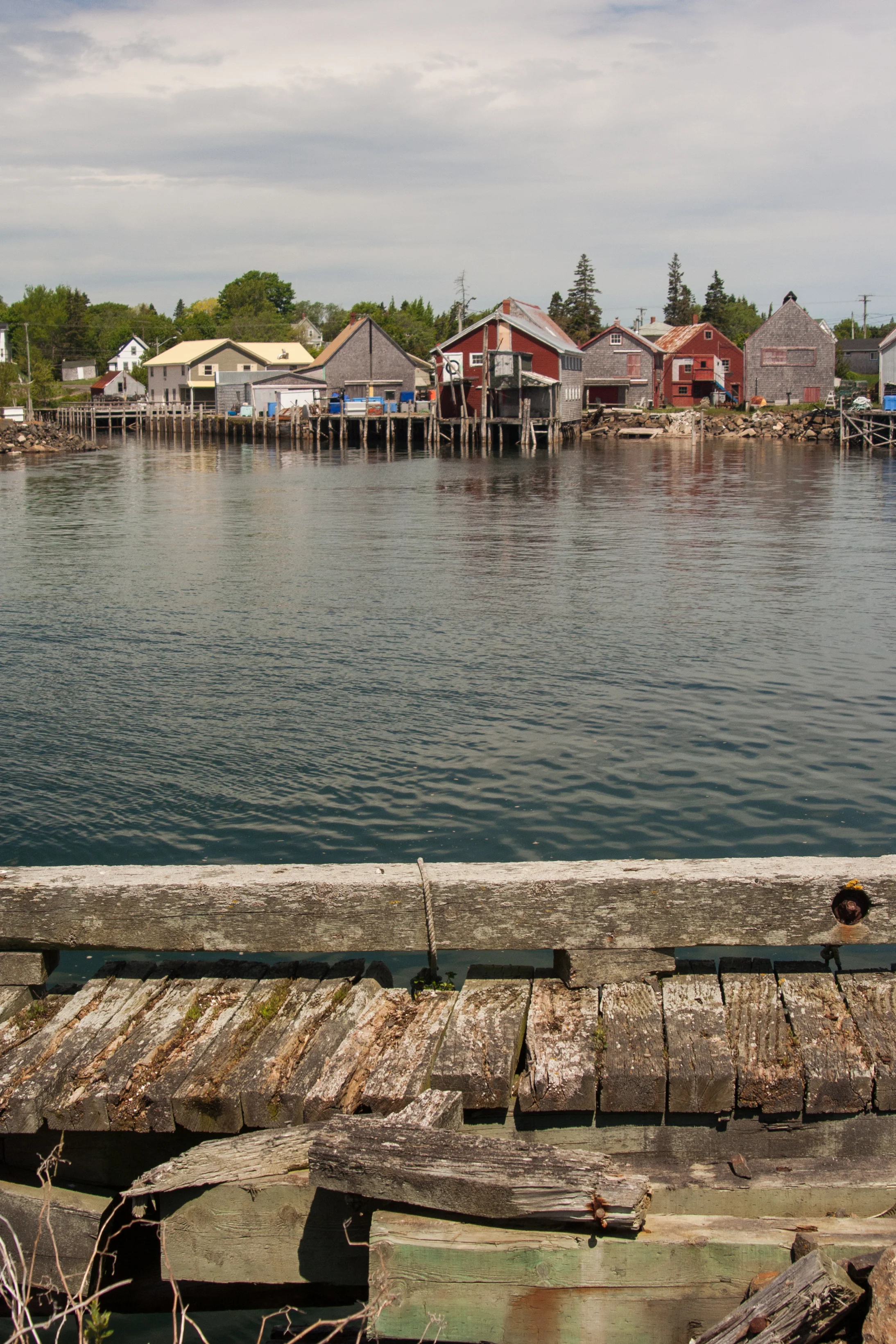 Seal Cove Dock