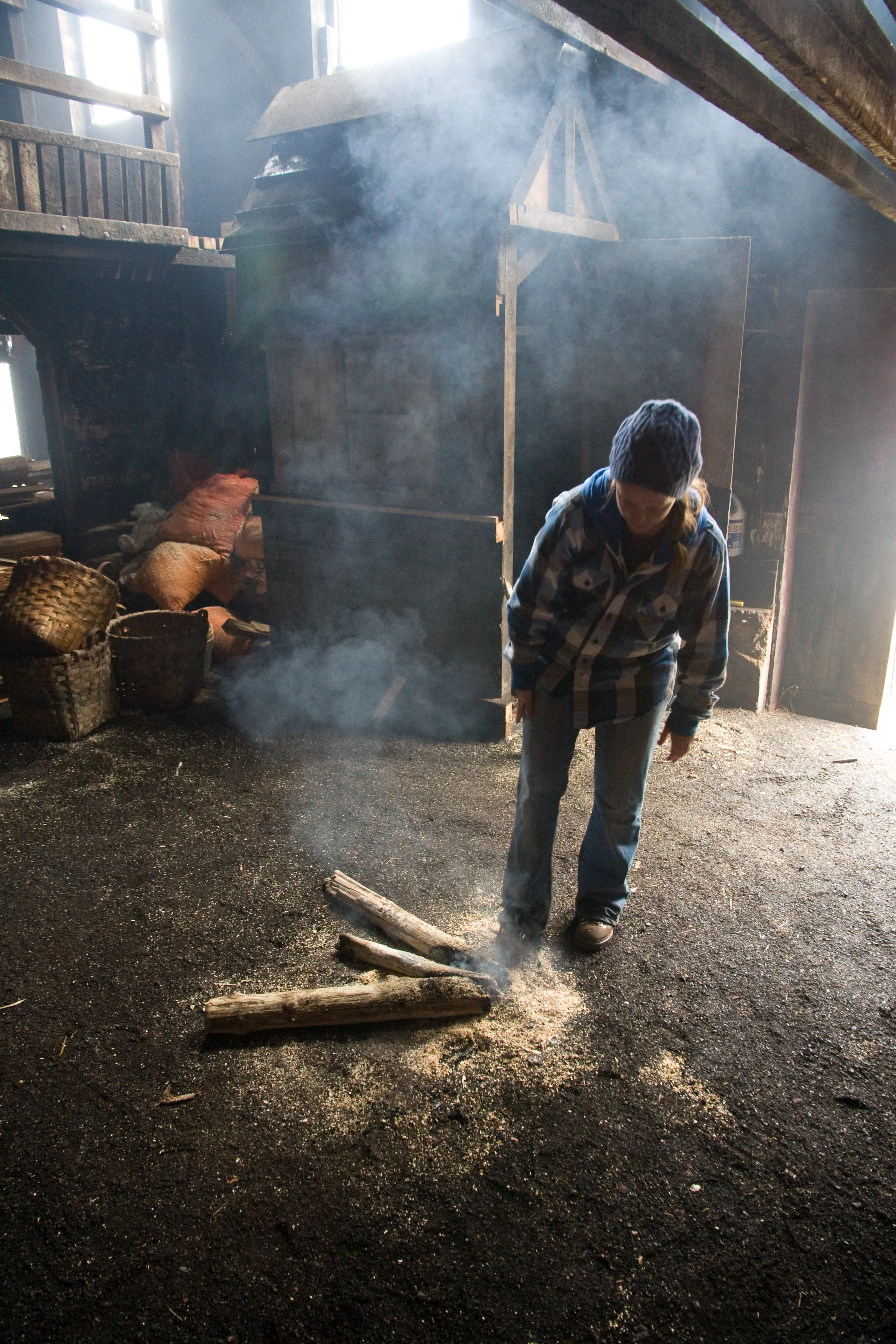 Preparing to smoke herring, Seal Cove