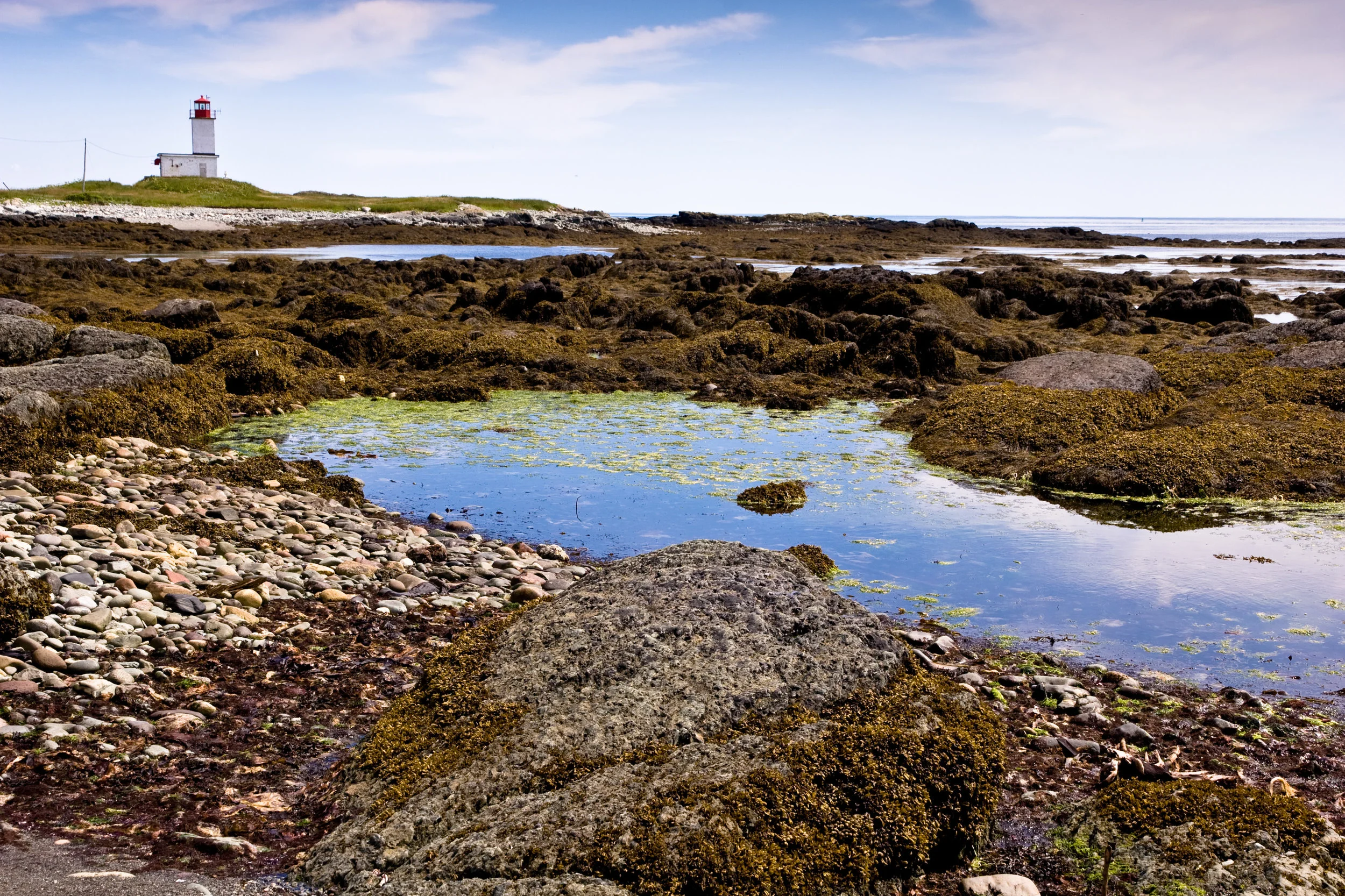White Head island Lighthouse and Tidal Pool
