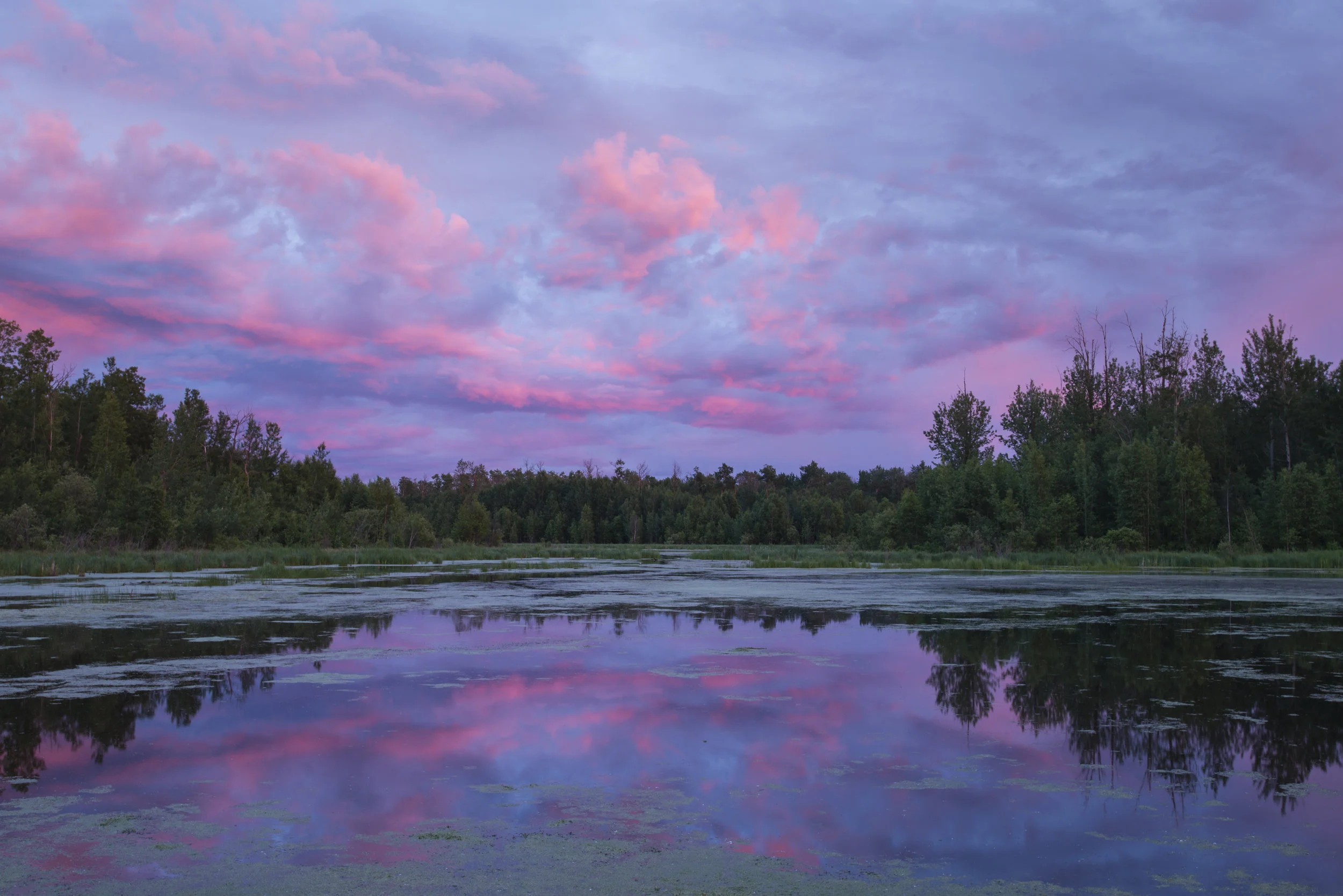 Sunset in Elk Island National Park, Alberta, Canada