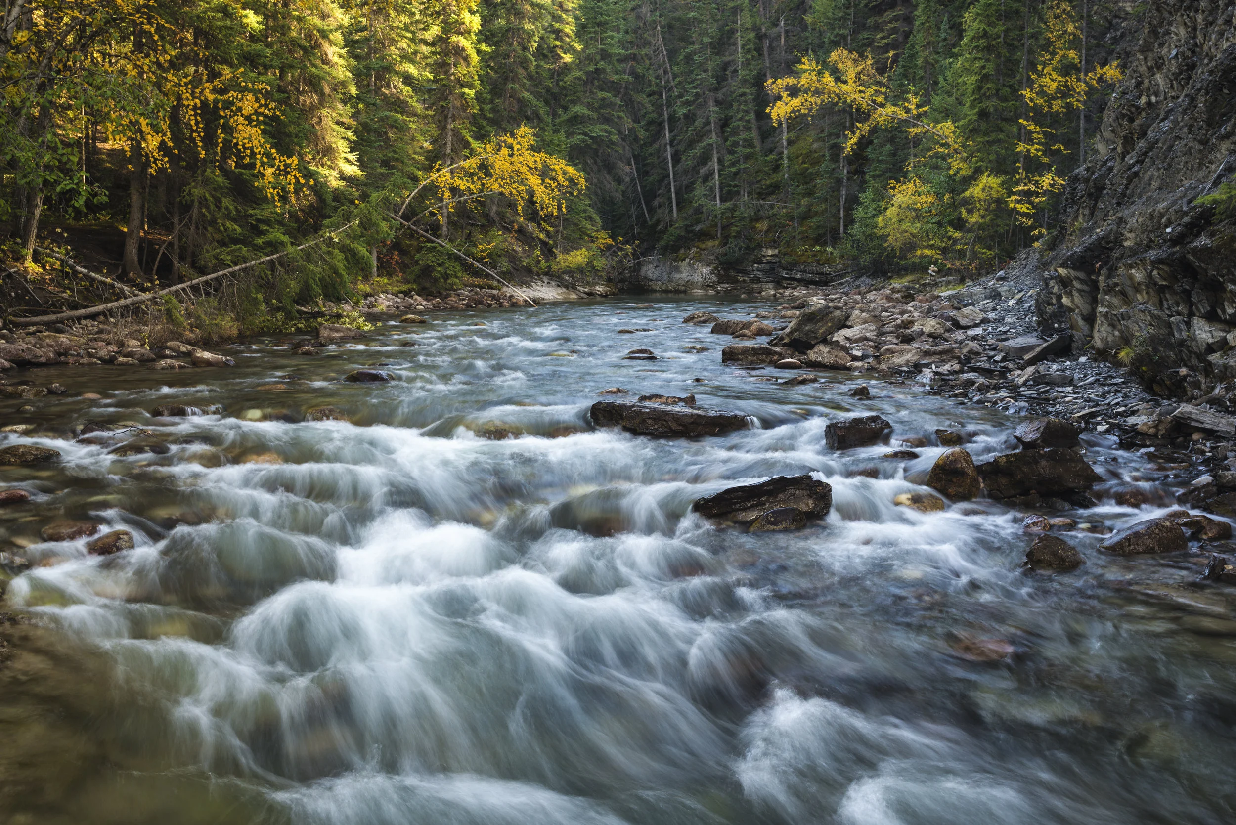 Autumn in Maligne Canyon, Jasper National Park