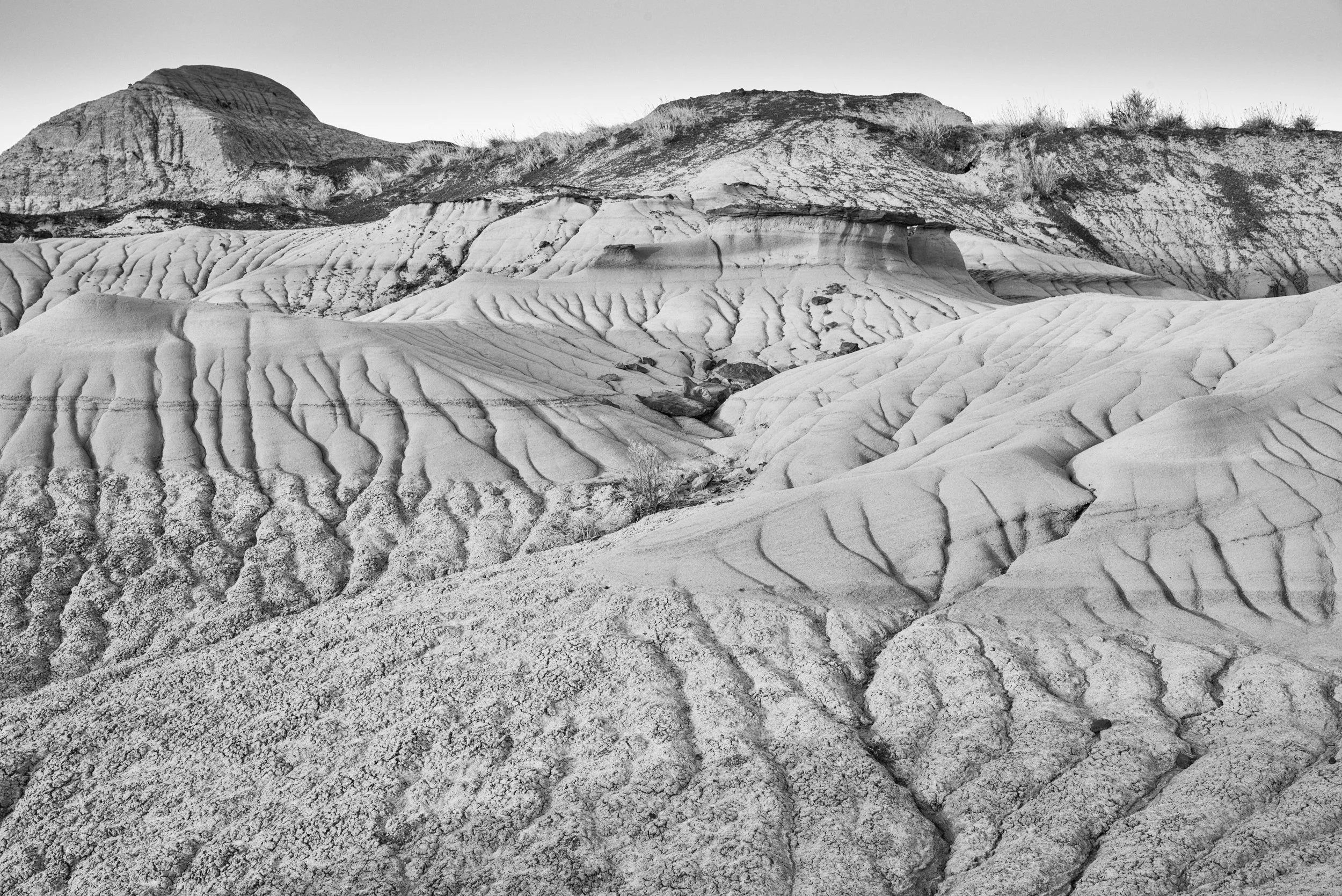 Dinosaur Provincial Park, Alberta, Canada