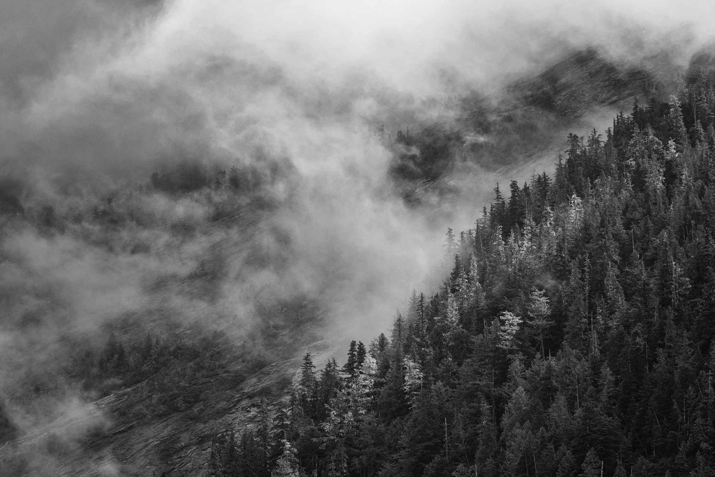 Khutzeymateen Provincial Park, British Columbia