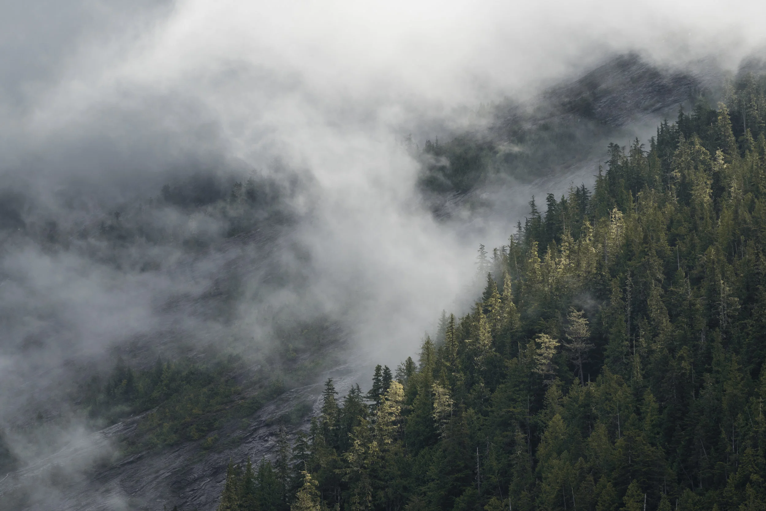 Khutzeymateen Provincial Park, British Columbia
