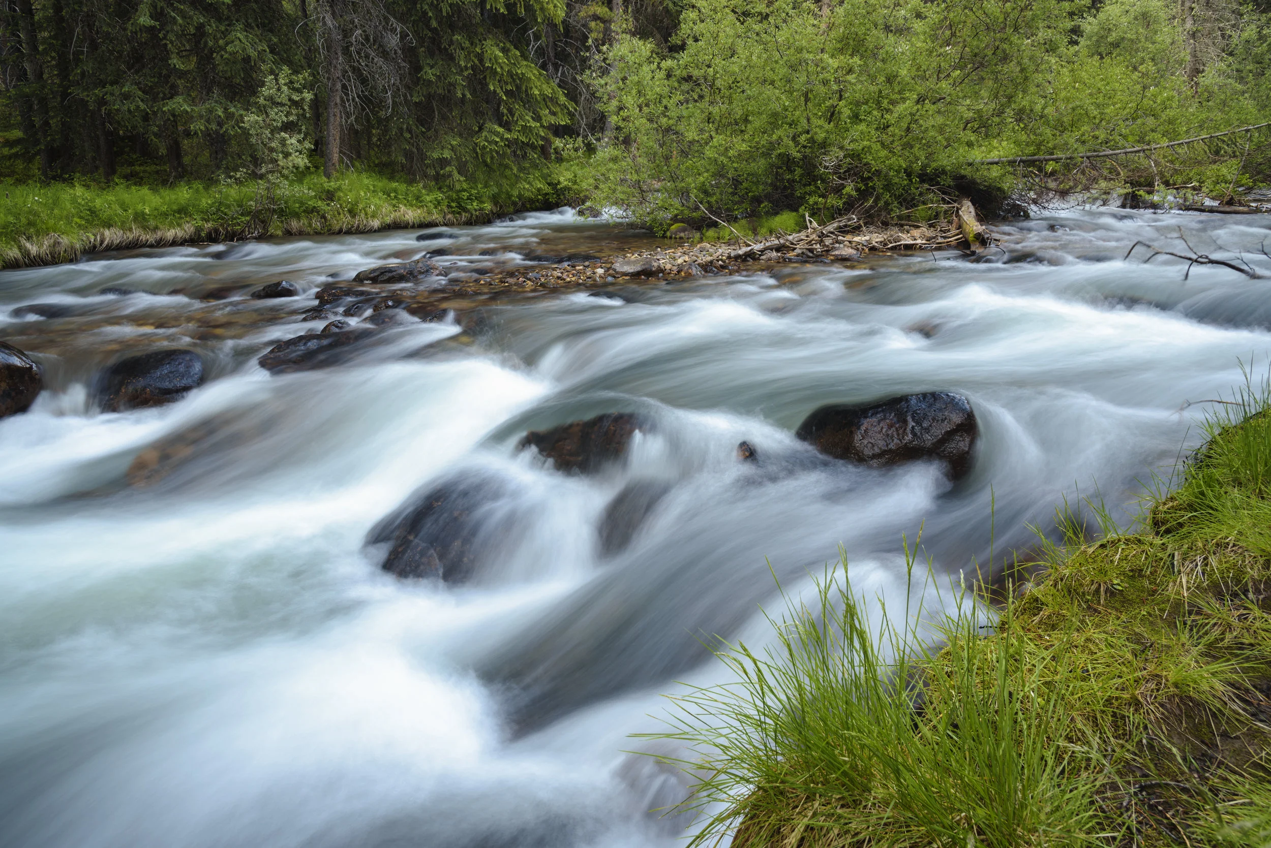 Jonas Creek, Jasper National Park