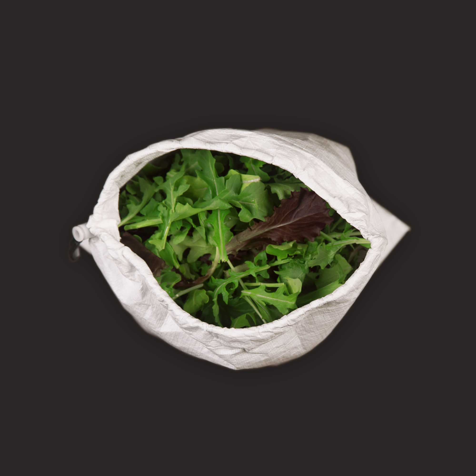 grey-white-open.jpg