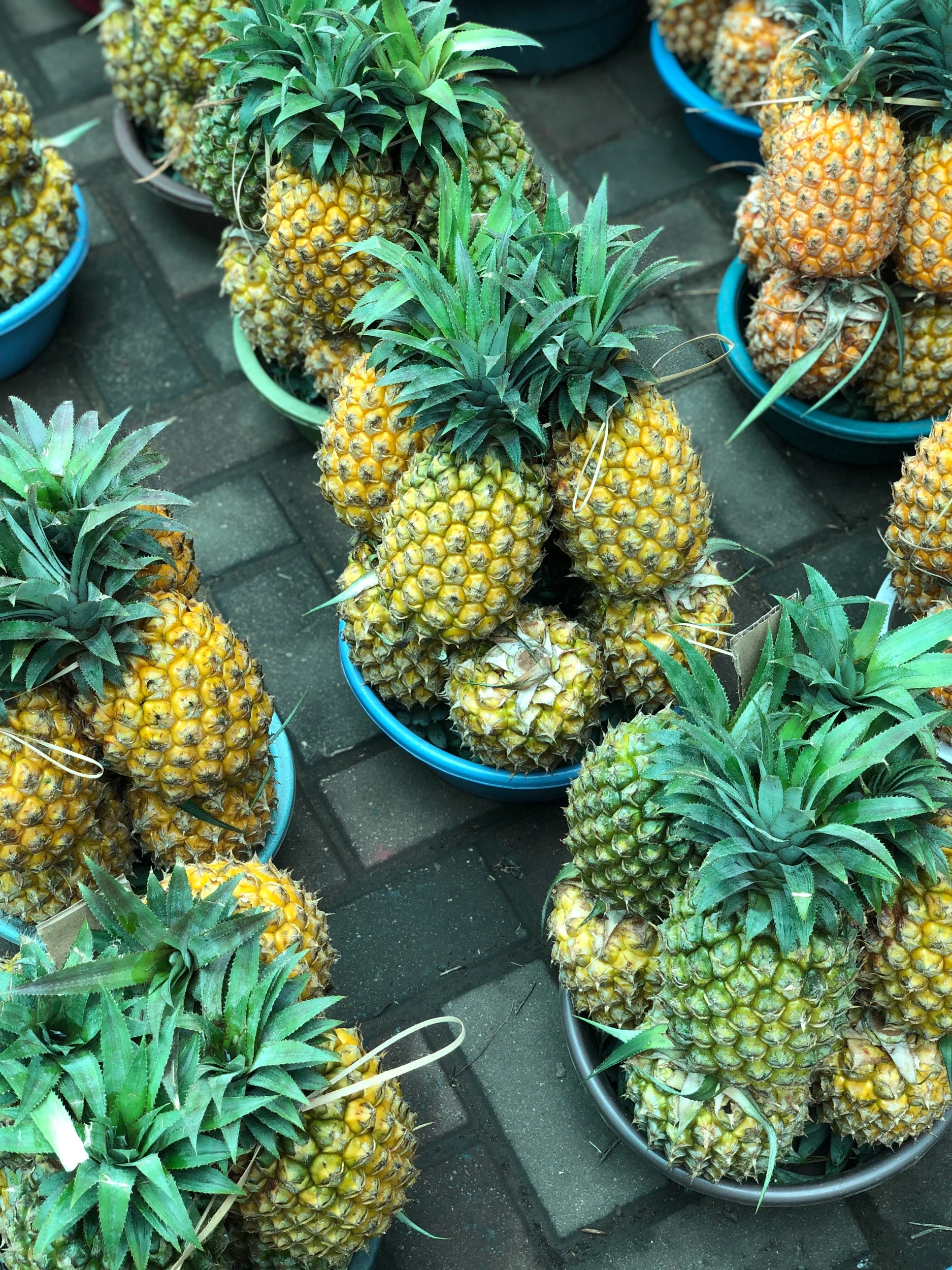 Cartagena in Four Days