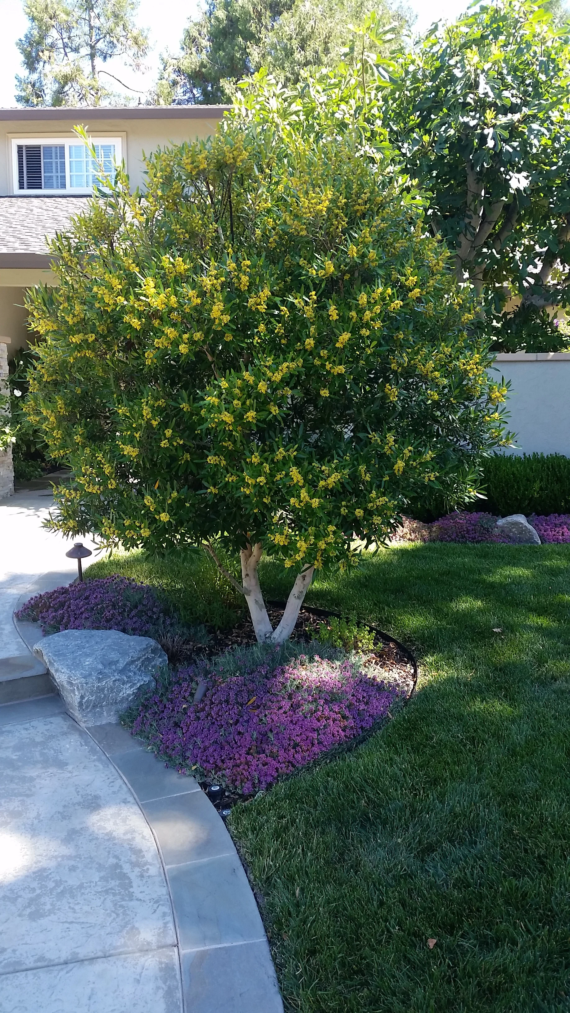 20150622_104400.jpg