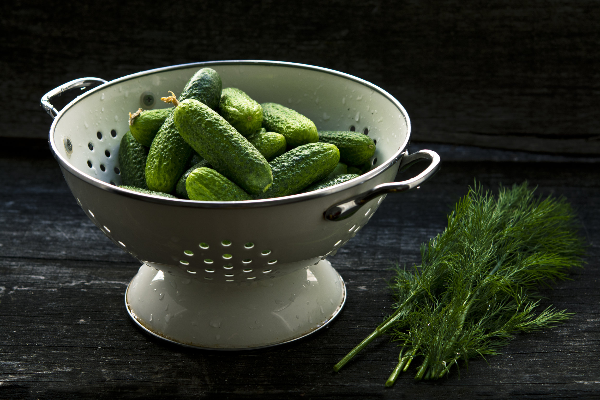 Fermented Cucumber Pickles