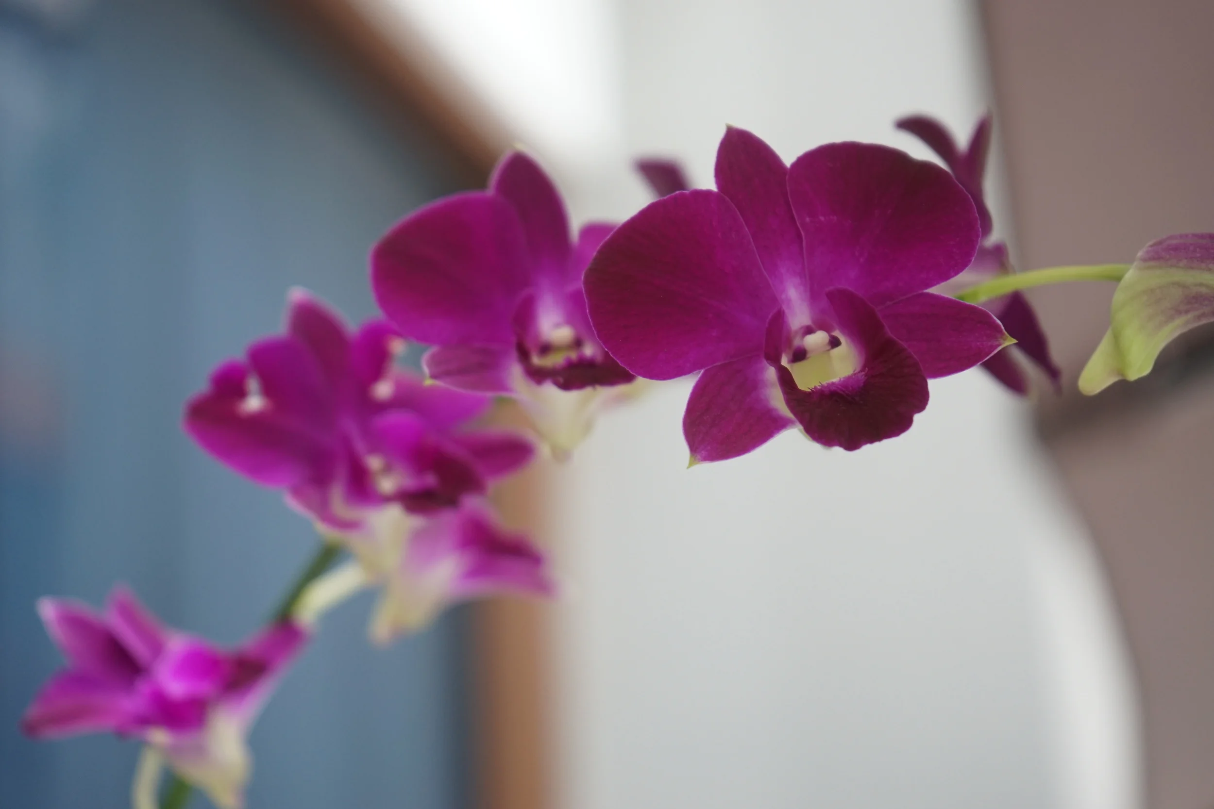 DSC01047.JPG