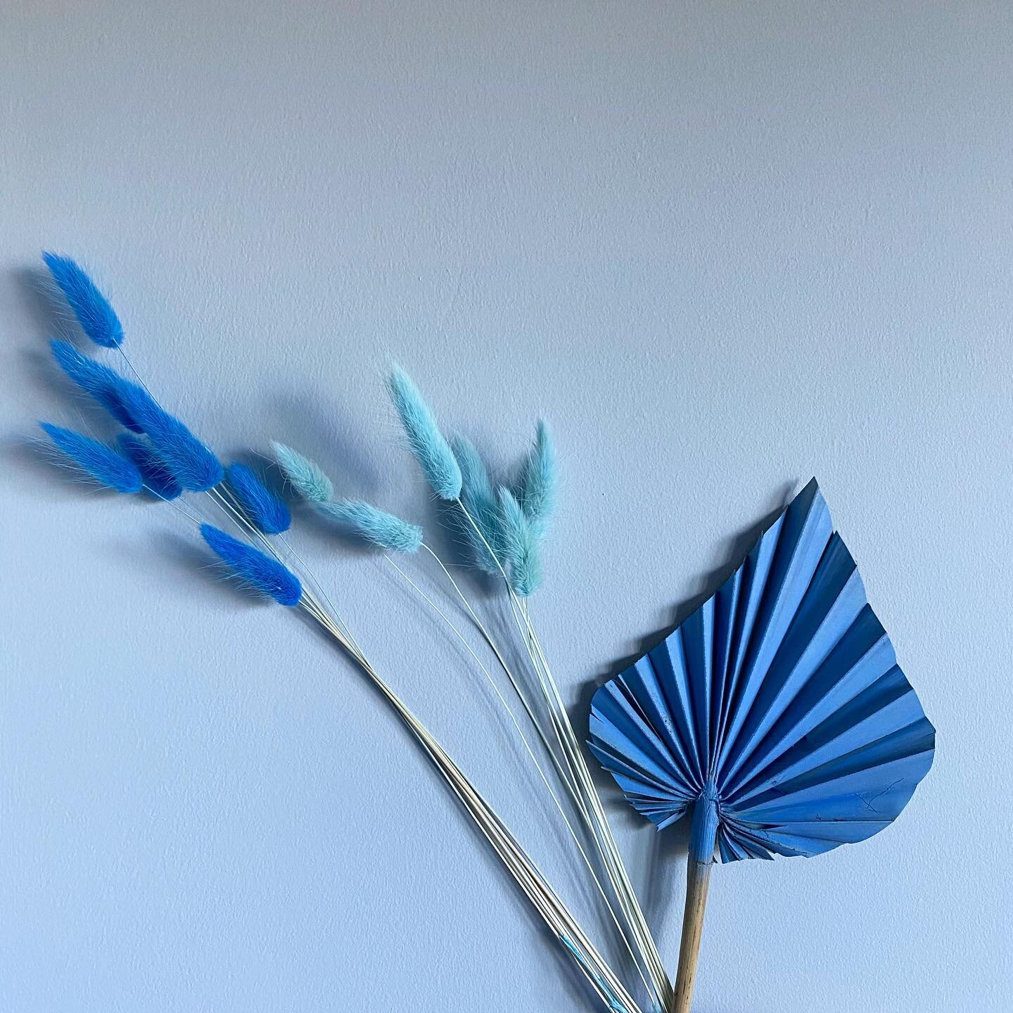 Monday blues 💙 

#dried #driedflowers #driedflower #driedarrangement