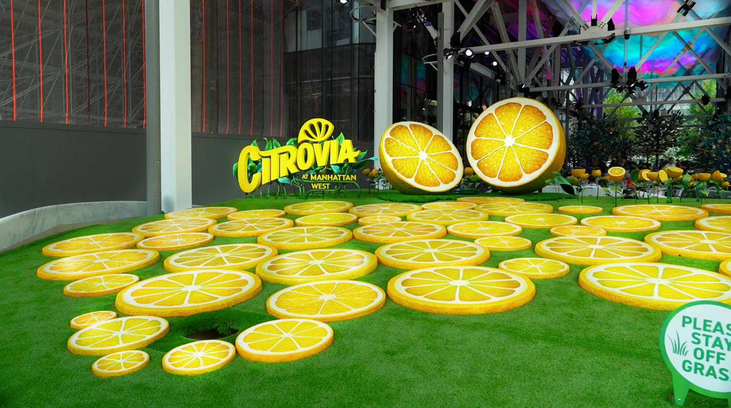 Лимон арт проект хабаровск