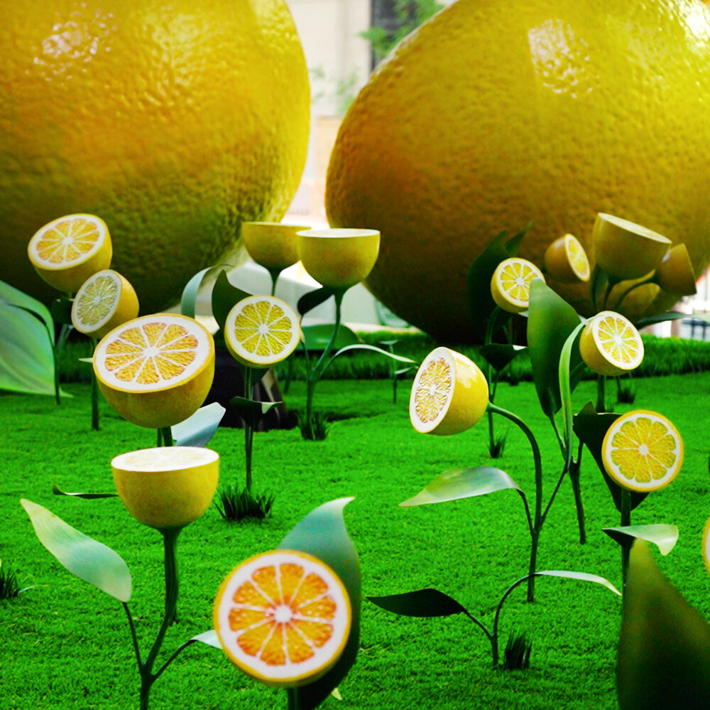 лимоны в цитровия.jpg
