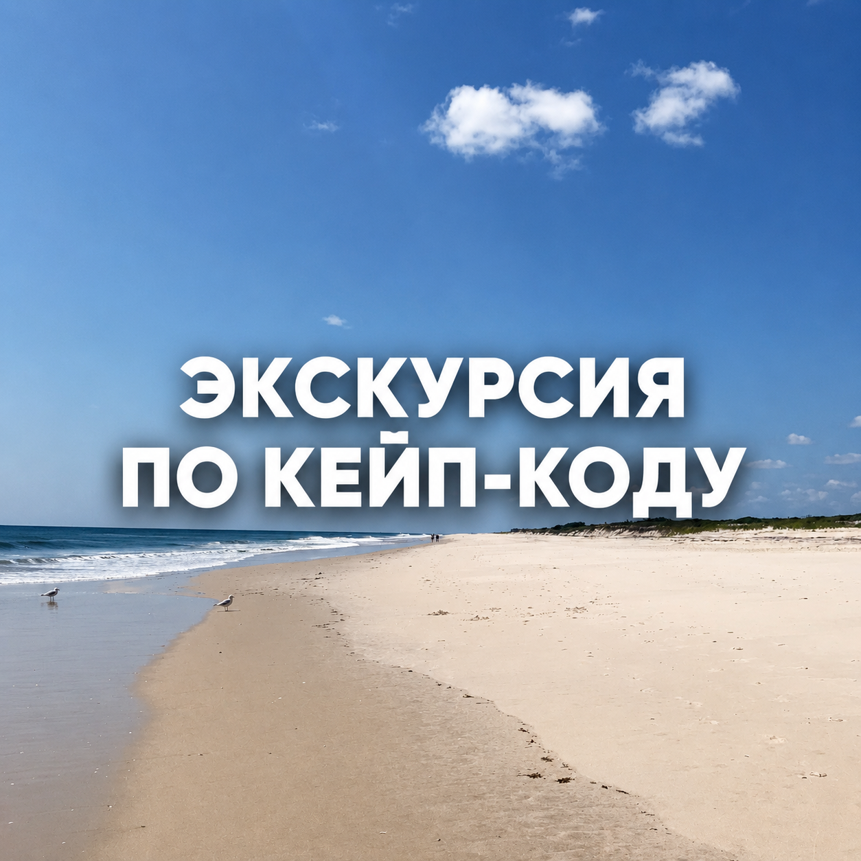 5_ekskursiya_po_keyp-kodu.png