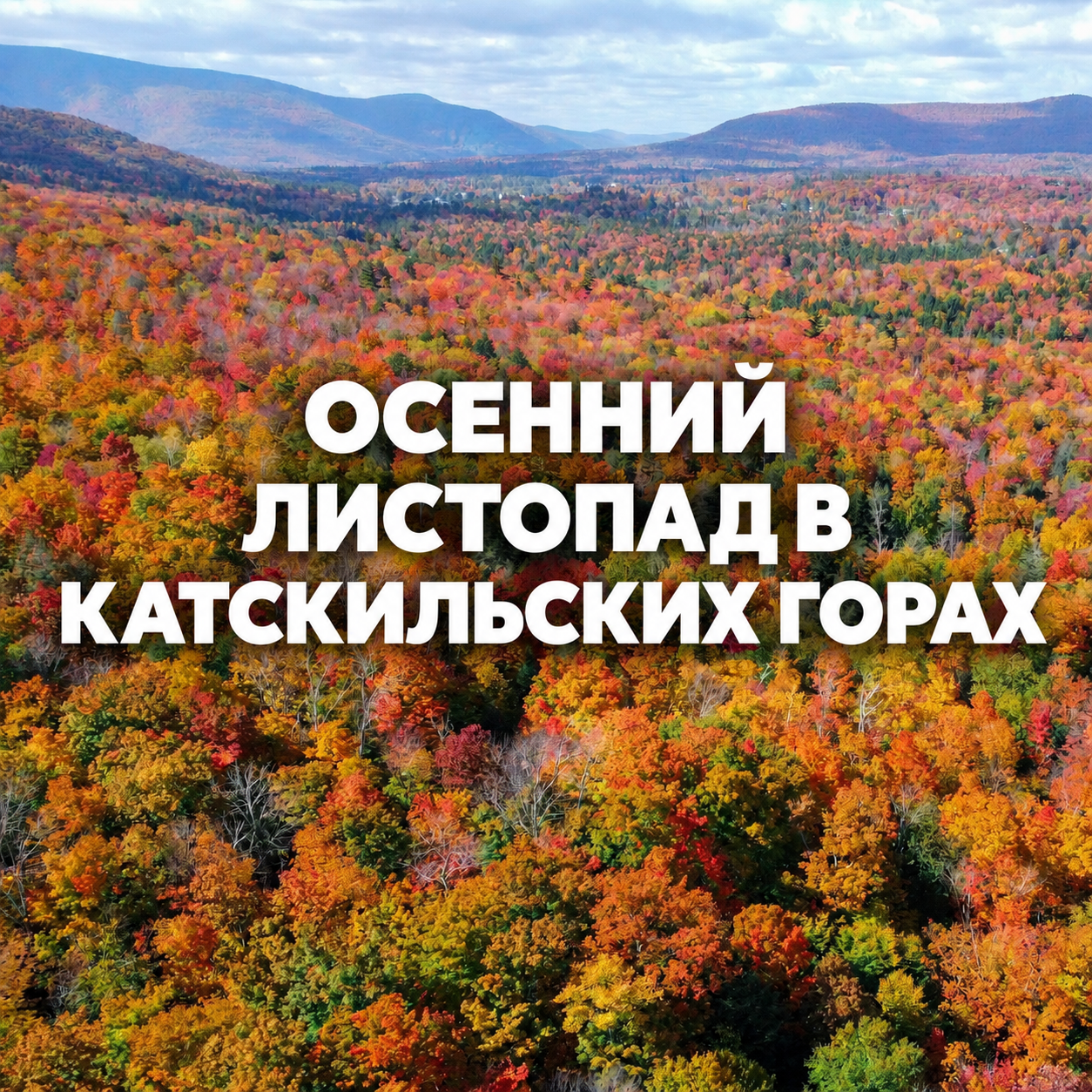 Листопат в Кэтскиллс.png