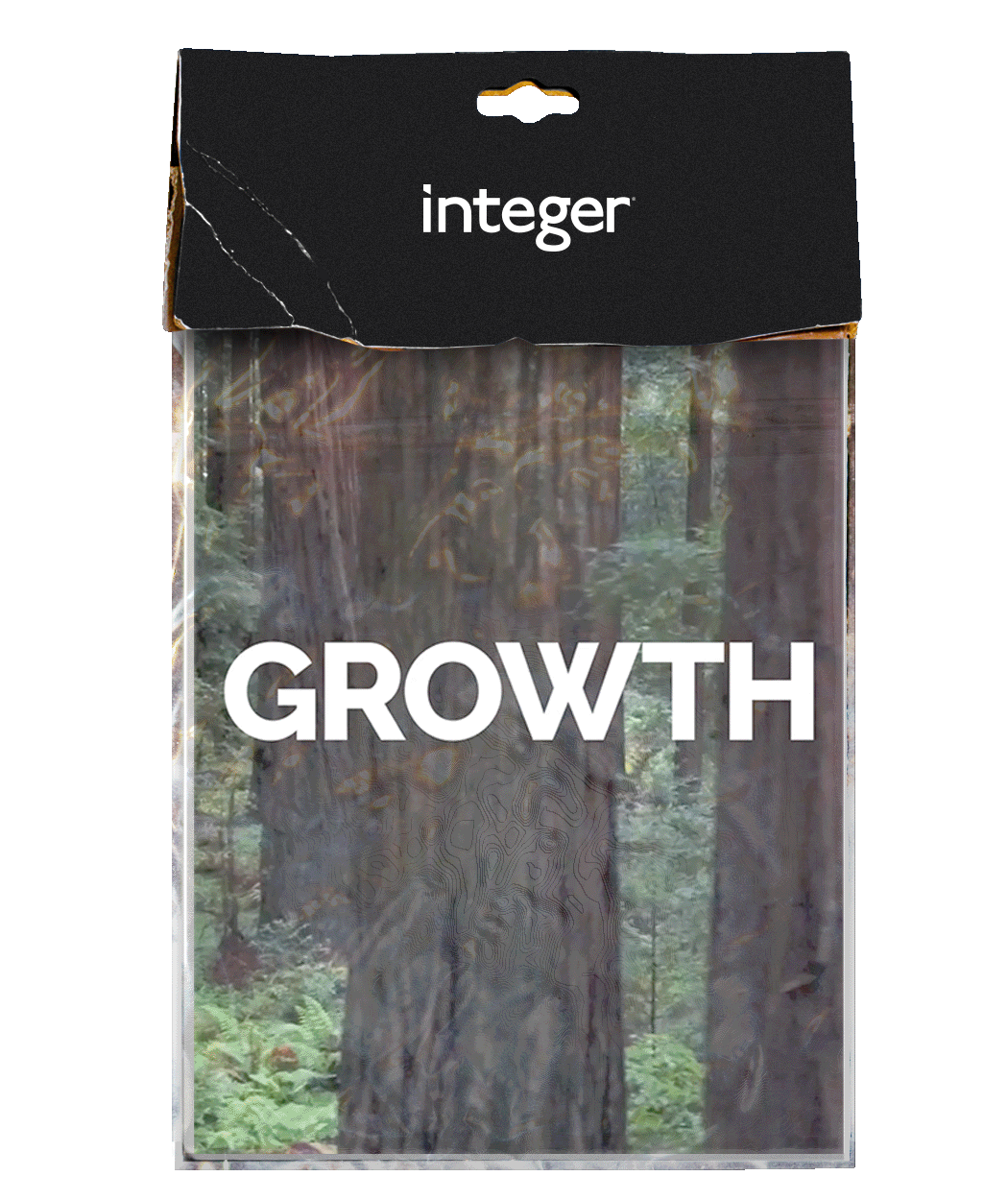 Growth Company 0607.gif