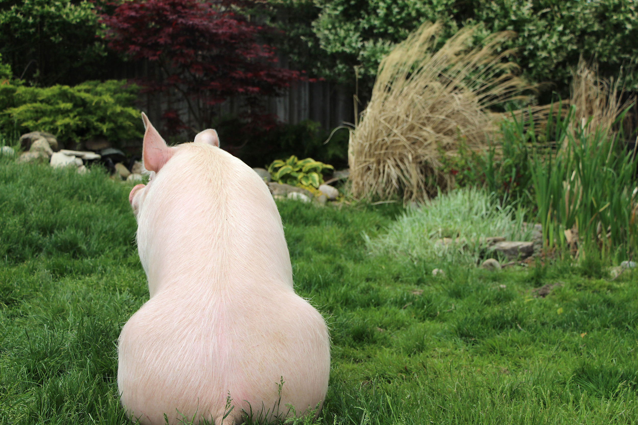 How it all began.jpg