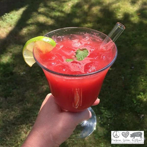 Watermelon_aqua_fresca.jpg
