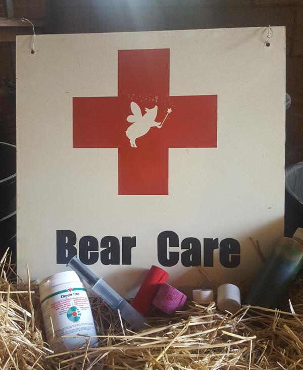 Bear_Care.jpeg
