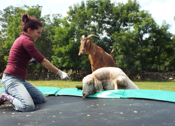 HEEFS September 2017 Newsletter