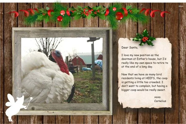 HEEFS November 2017 Newsletter