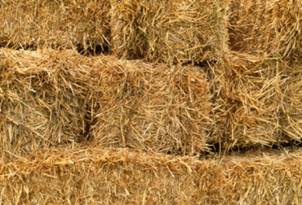 Hay_bales.jpeg
