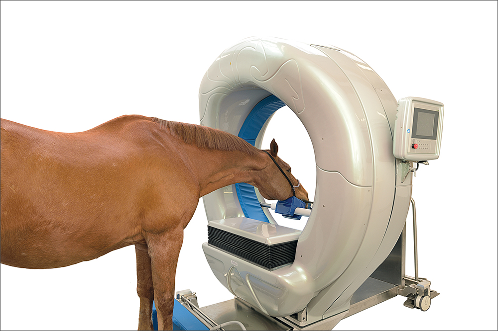 Pegaso_Home_Page.jpg