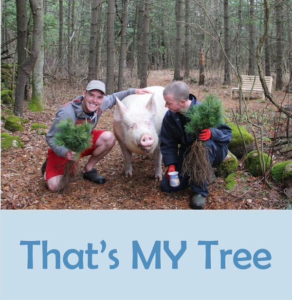 That's My Tree.jpeg