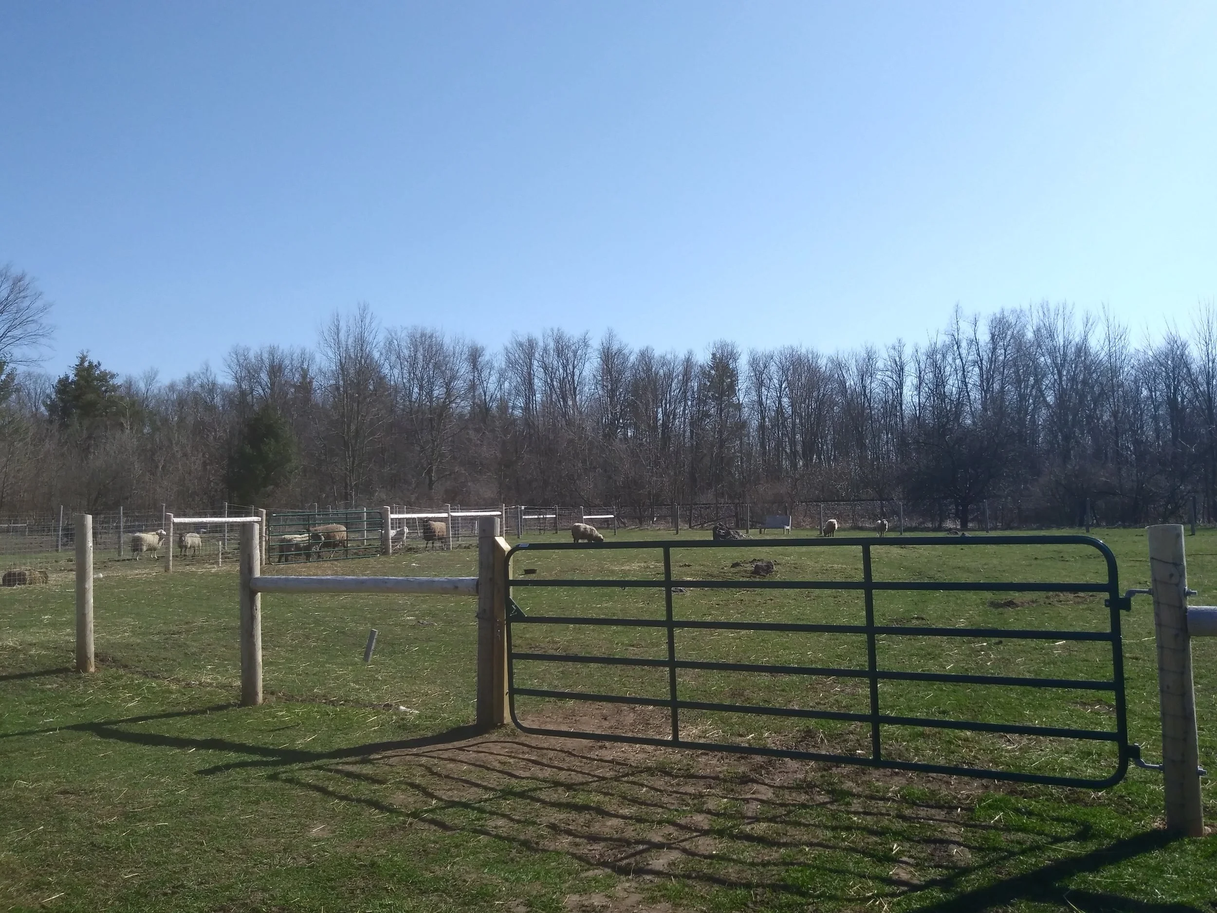 gates 1.jpg
