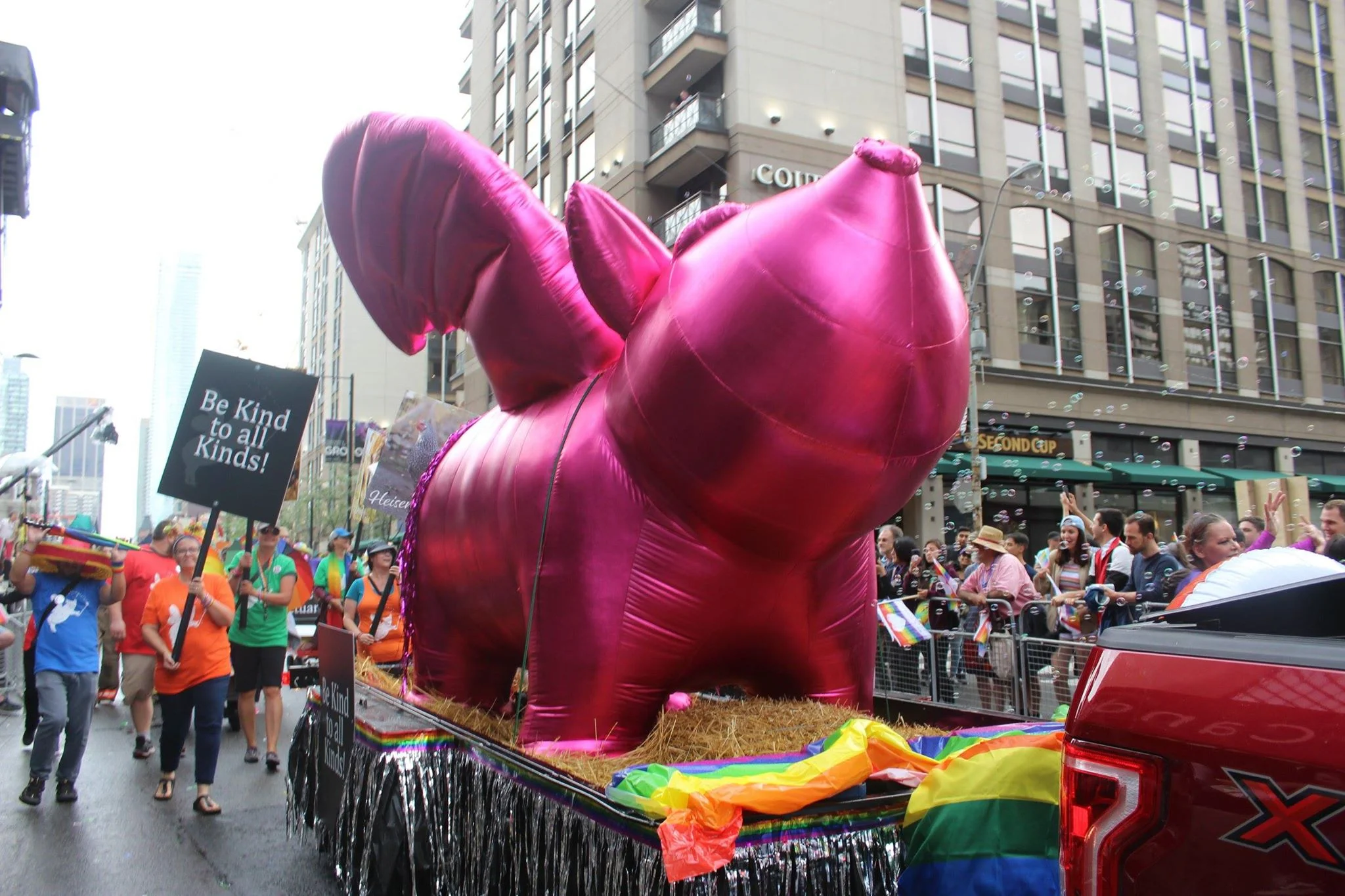 pig 1.jpg
