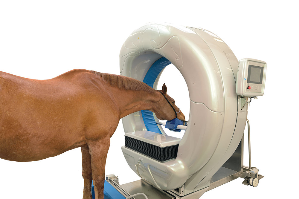 scanner.jpg