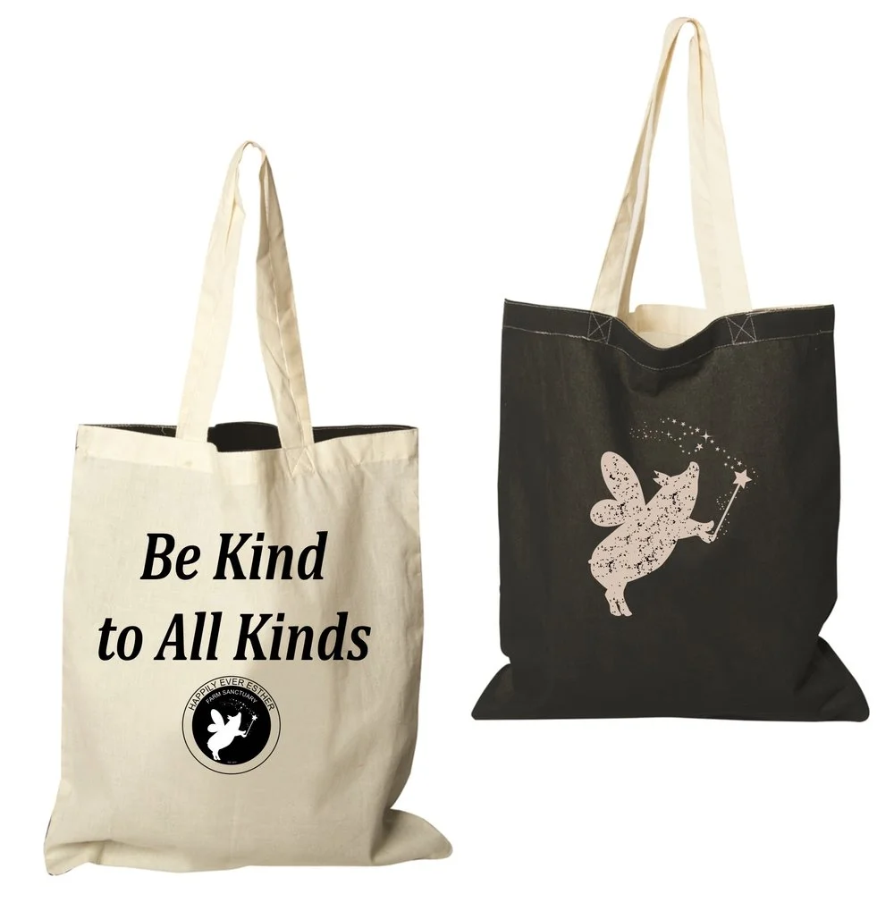 be+kind+bag+mock+up.jpg