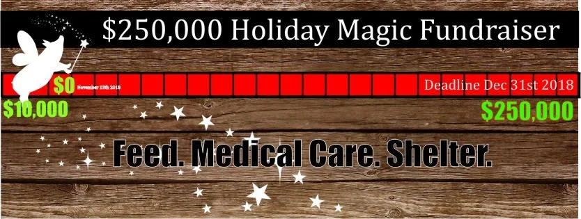 2018 Holiday Magic Fundraiser