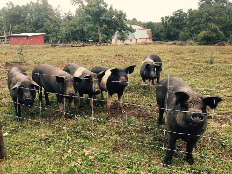A big snout out to our special moms