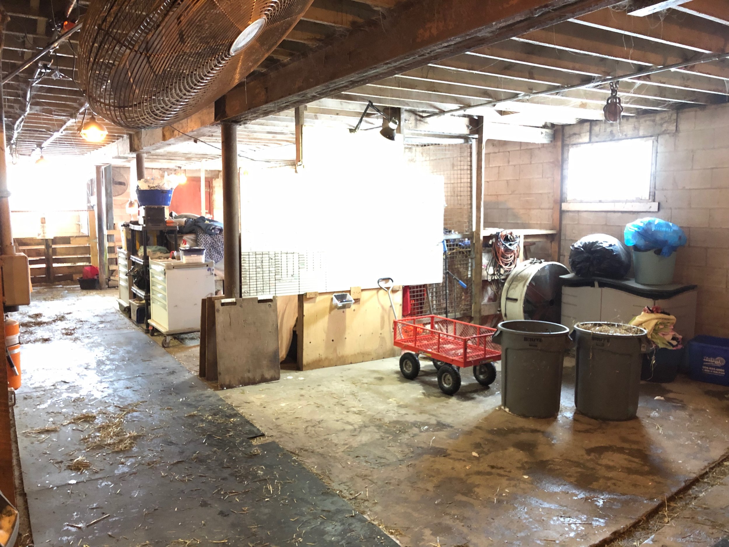 barn 7.jpeg