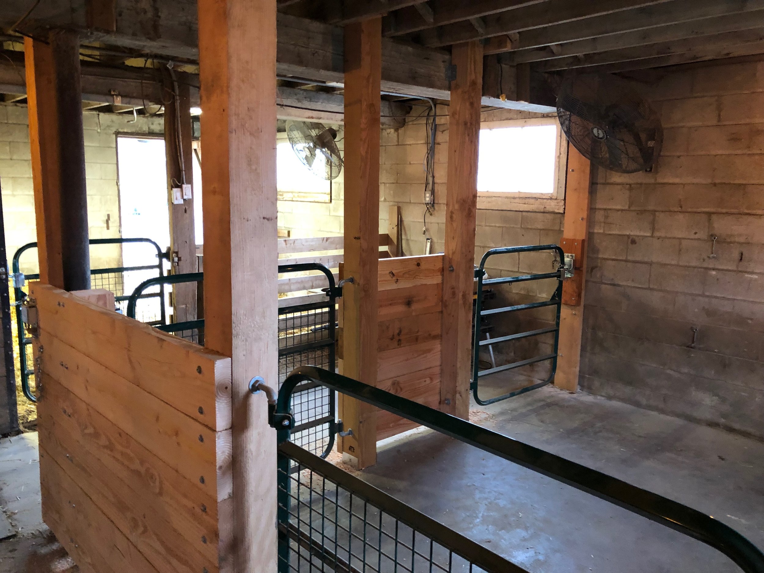 barn 5.jpeg