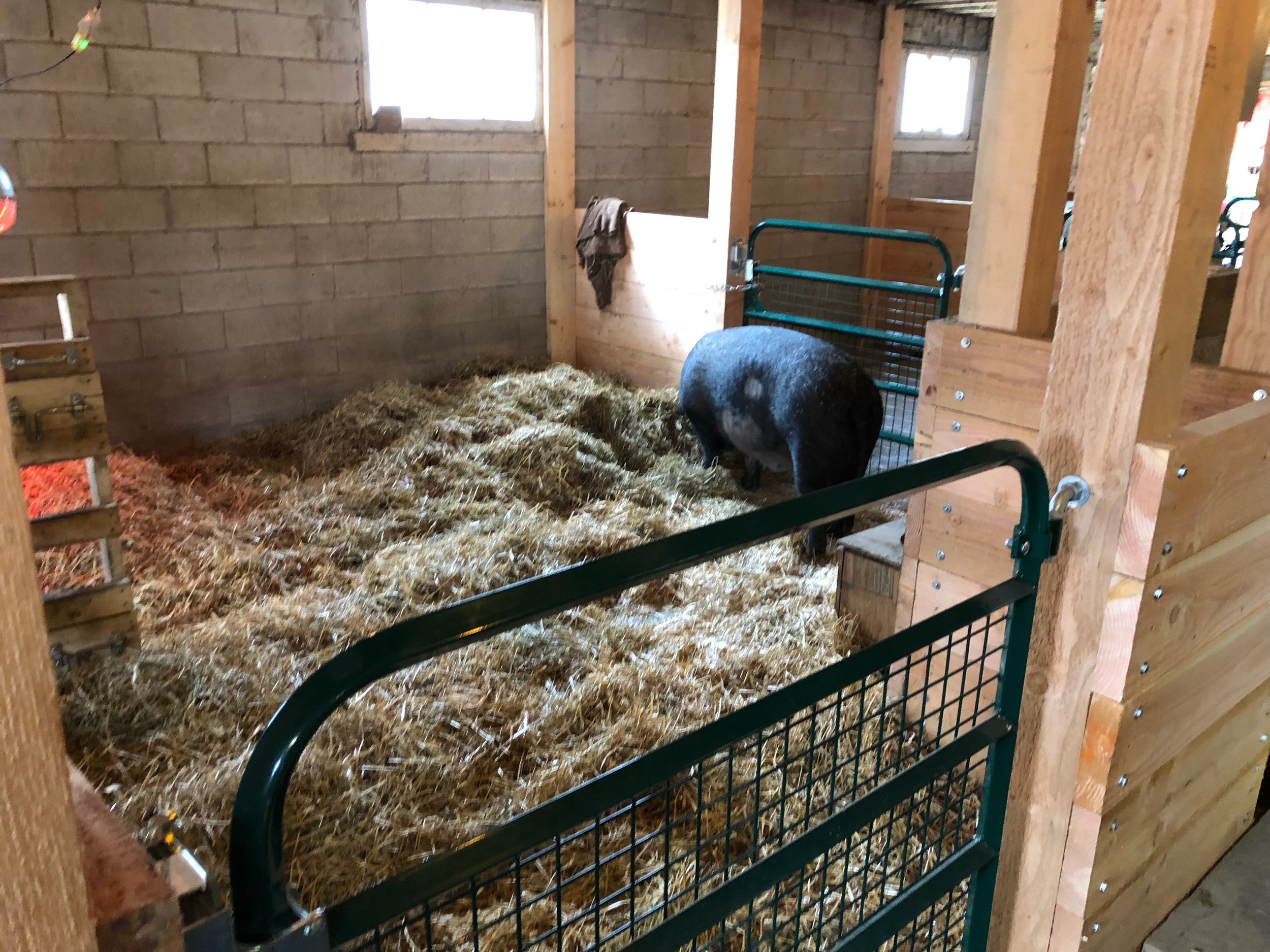 April checking out her new digs!