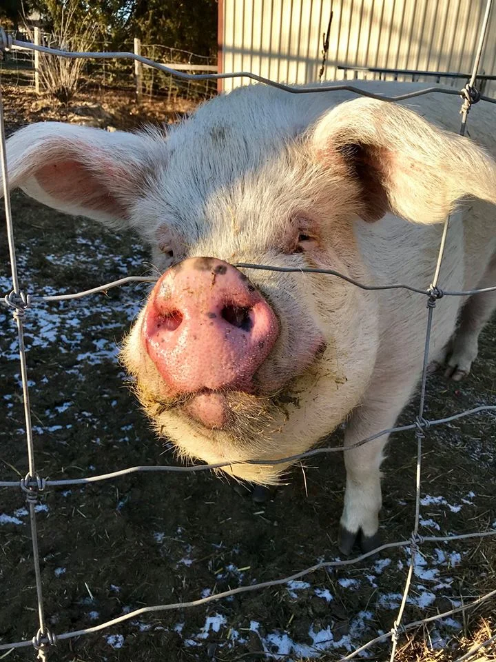 The intake process at HEEFS