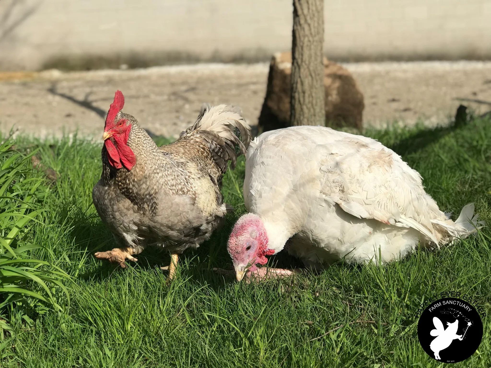 Nancy and dolly2.jpg