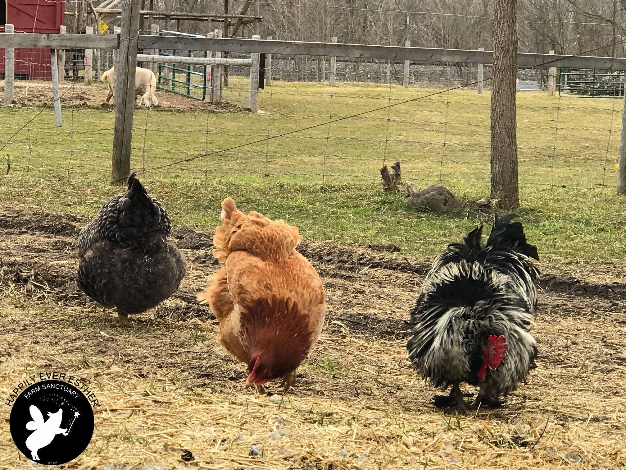 Left to right: Heisenberg, Shelly and Richard